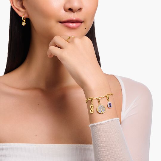 Thomas Sabo Sterling Silver Octagon with Violet Cold Enamel Yellow-Gold Plated Charm 2034-565-13