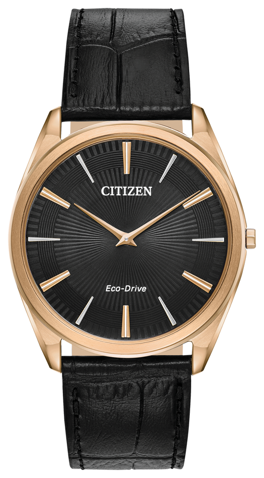 Citizen Watch STILETTO AR3073-06E